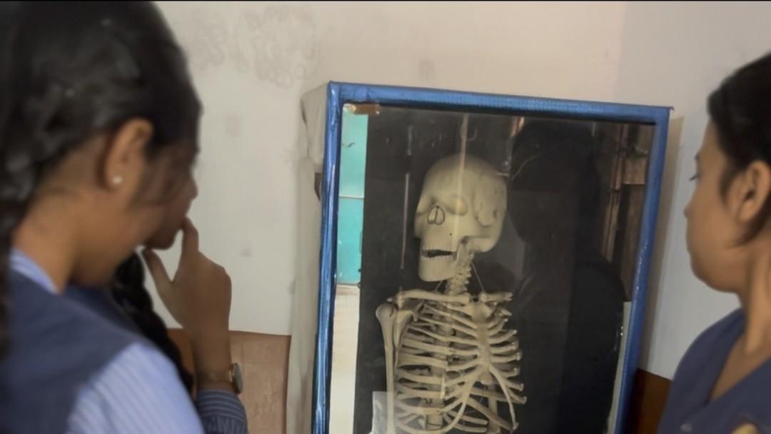 Science and laboratory learning